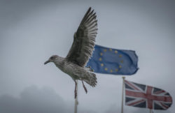 Drapeaux du Royaume Uni et de l'Union européenne, illustration du Brexit