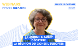 Webinaire conseil européen avec Sandrine Gaudin